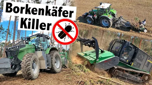 Aufforsten mit Prinoth Raptor 500 & Fendt 1042 mit AHWI Fortstmulcher