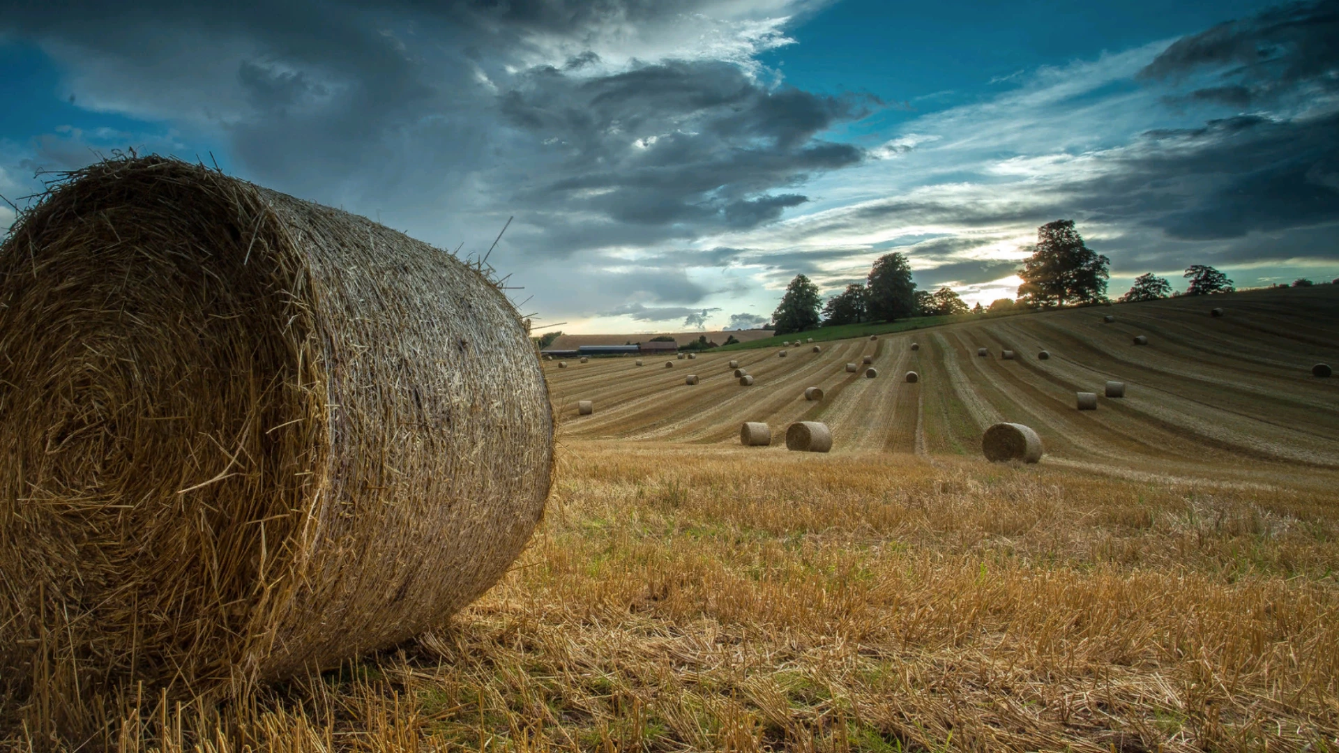 Calmsden Farm Edit Forbidden Mods Einfach Verboten Gut