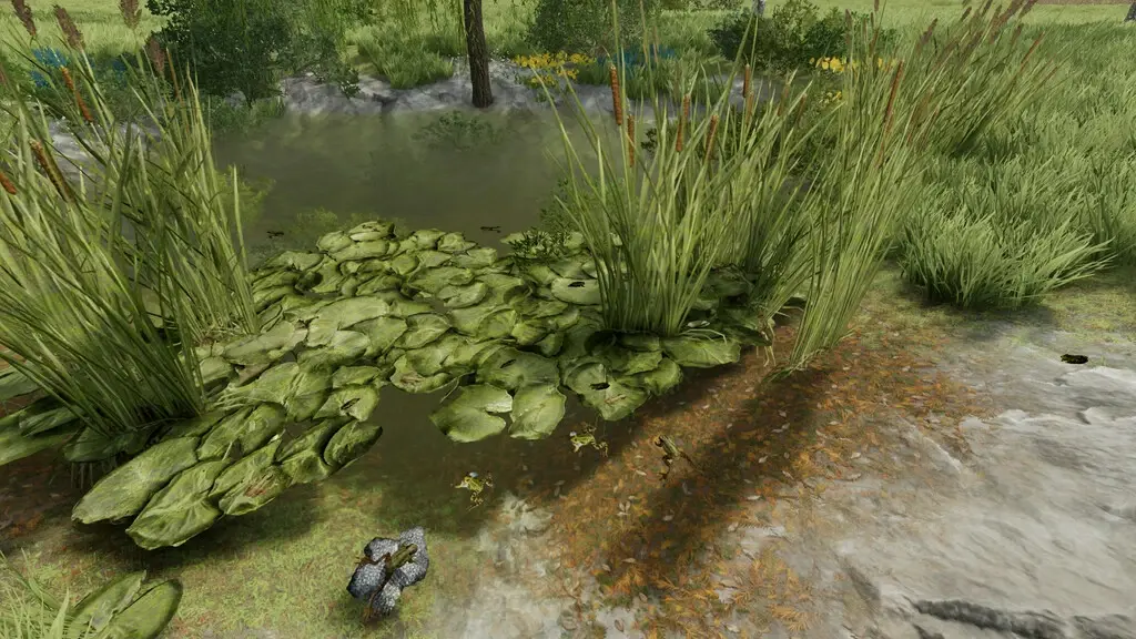 Frösche Für Den Teich Forbidden Mods einfach verboten gut