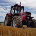 Mein Case IH 845XL beim Grubbern