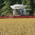 Claas 8900 auf der Geiselsberg