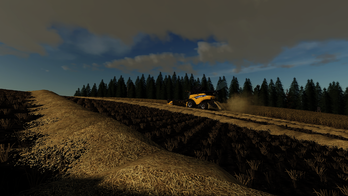 a quiet day at my farm