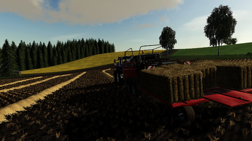 a quiet day at my farm