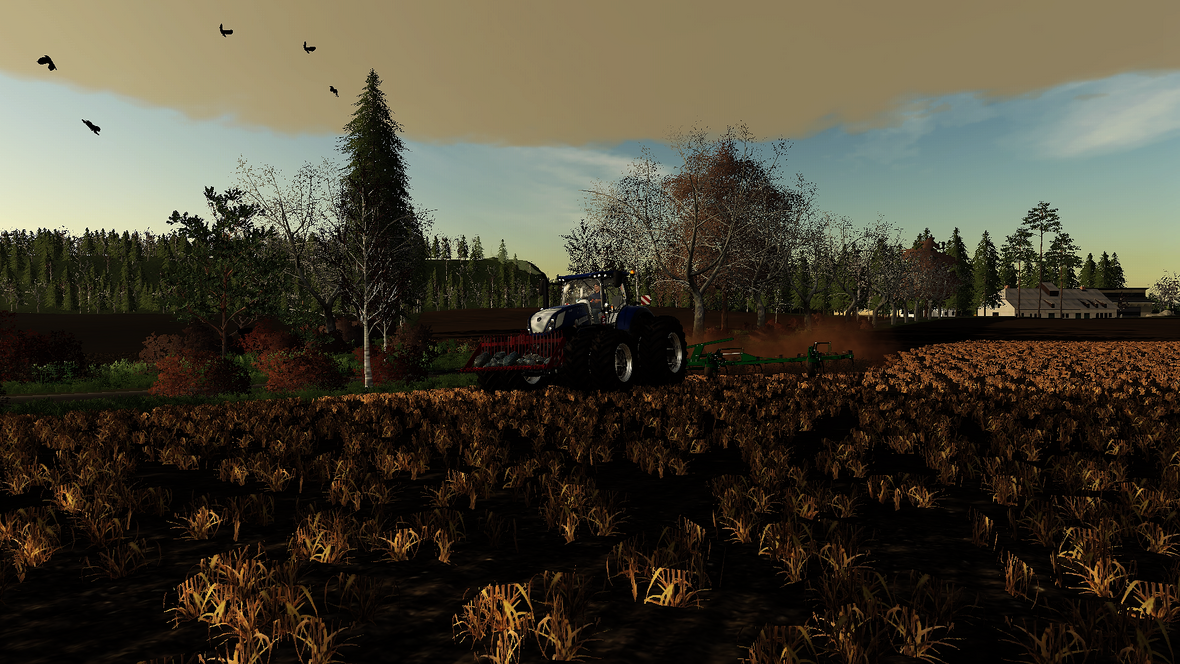 a quiet day at my farm