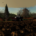 a quiet day at my farm