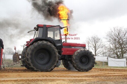 Letztes Bild für 2020