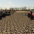 Working on new field with maize after previous owner.