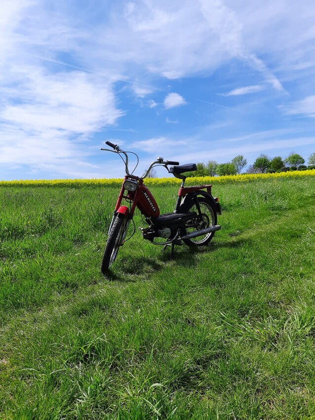 Mofa vorm Rapsfeld