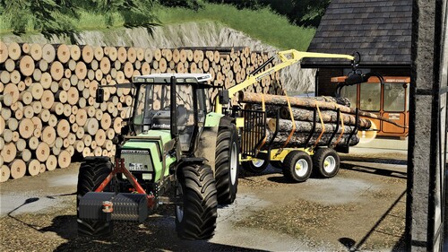 Büschen Holz für zwischendurch