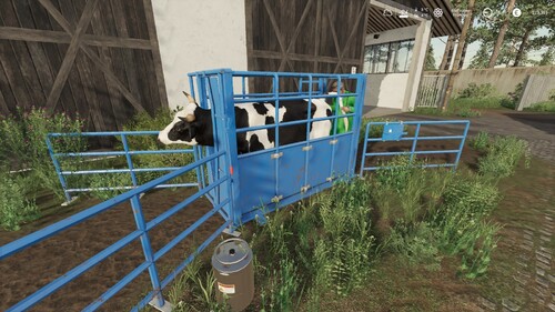 Der Tierarzt is da