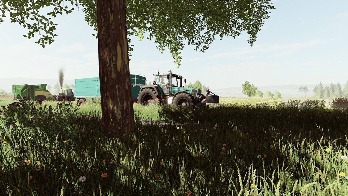 Immer ein Baum im weg