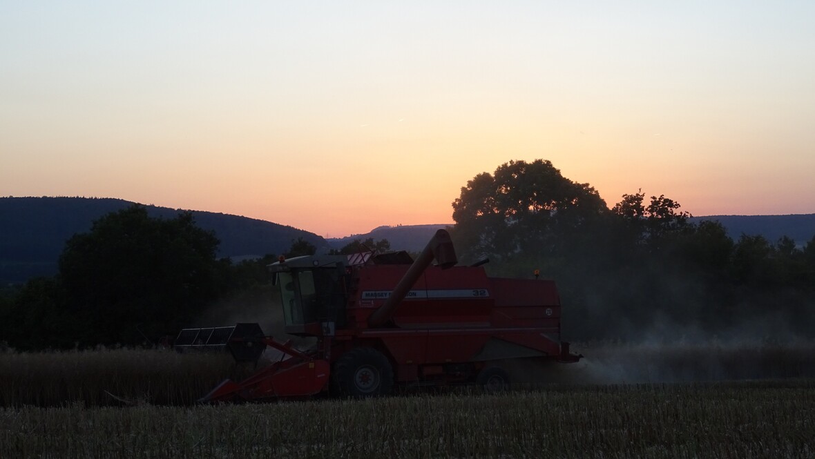 Im allerletzten Sonnenlicht des Tages