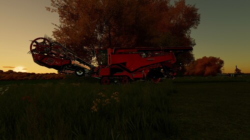 Claas Lexion 8900 im Sonnenuntergang