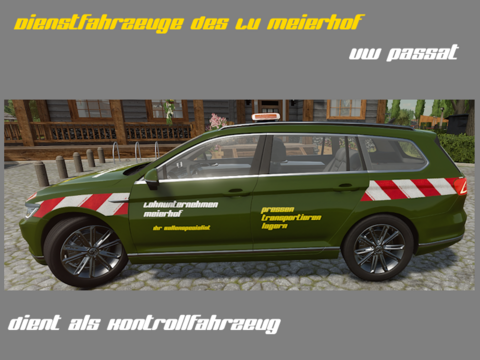 Dienstfahrzeug - VW Passat