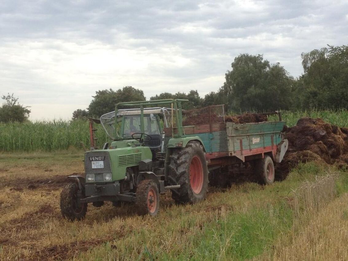 100er Farmer