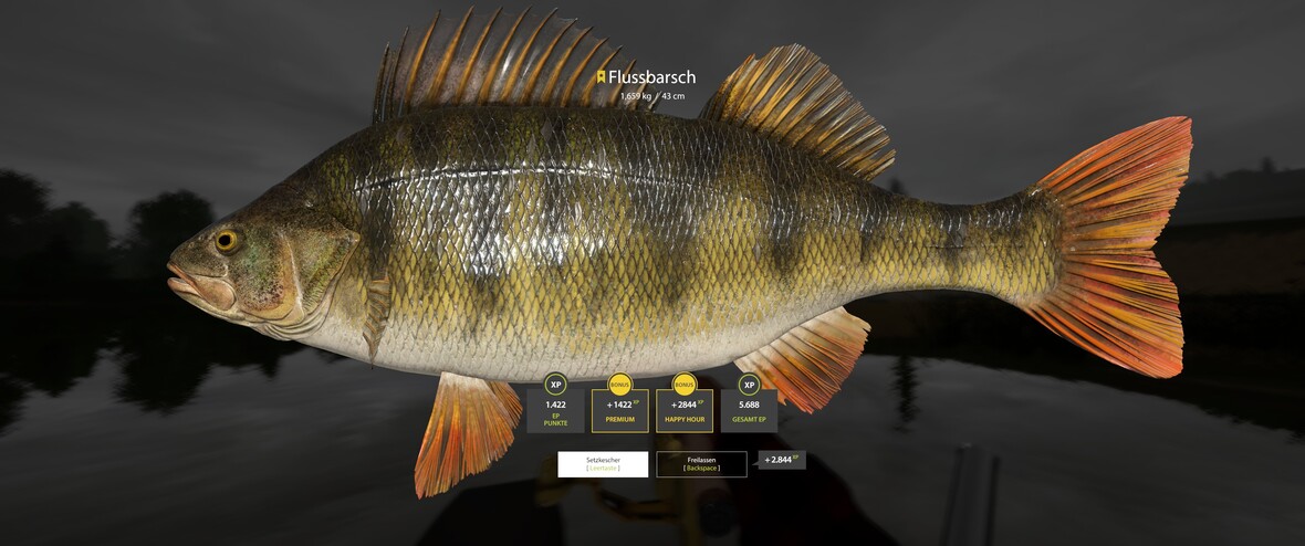 RF4 - Heute wieder erfolgreich ;-)