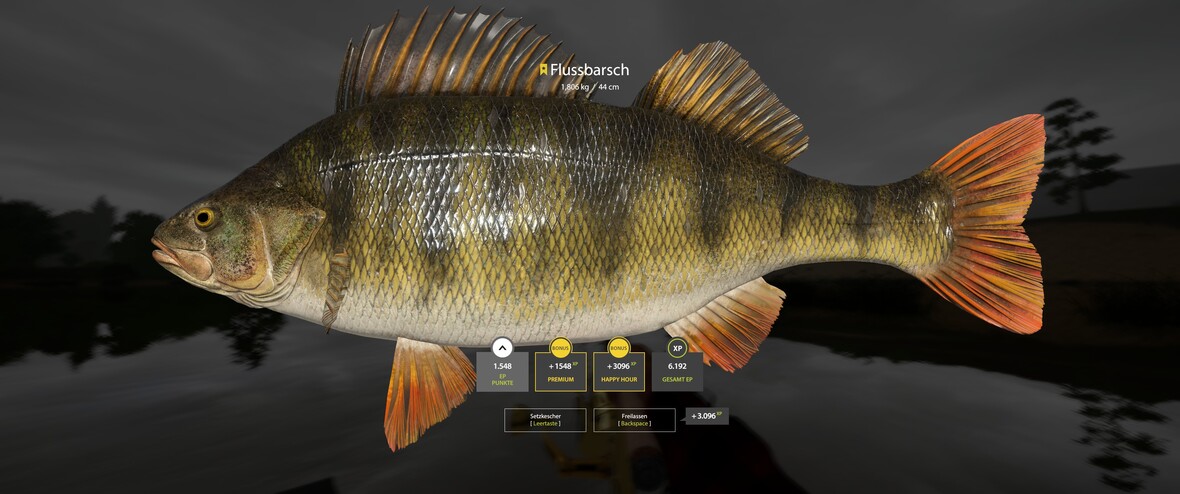 RF4 - I did it again ^^