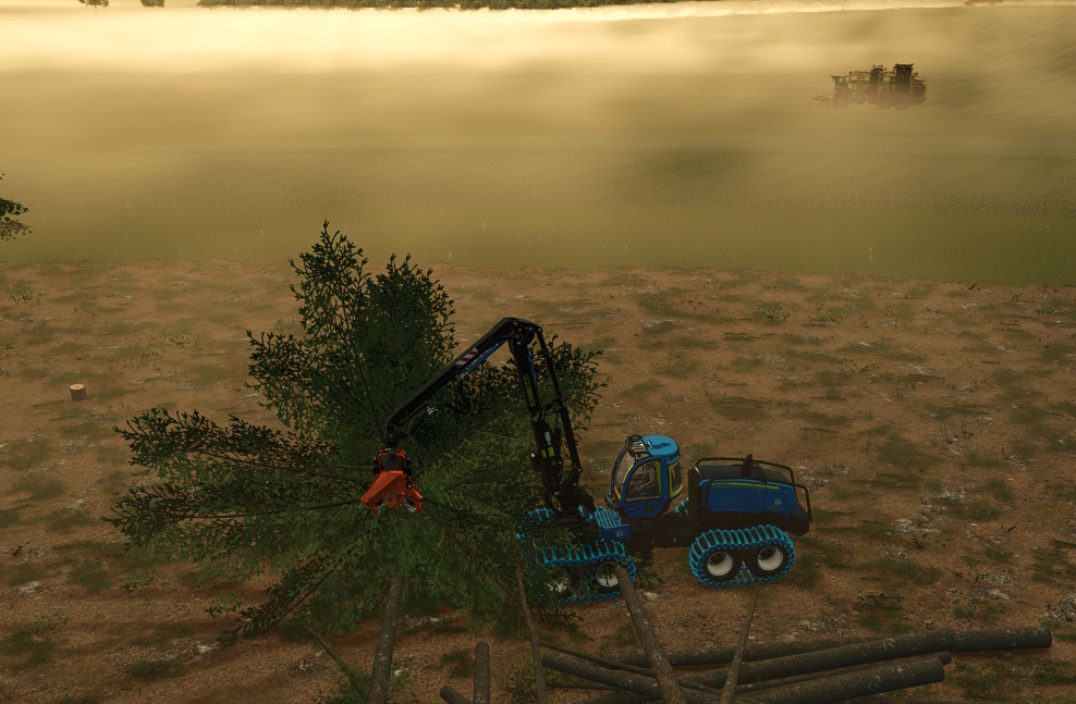 Holz und Erdfrucht am Morgen.jpg