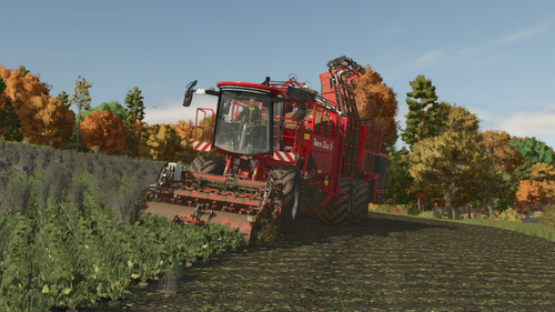 ls25