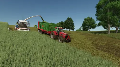 Grünroggen für eine Biogasanlage bei Algishofen.