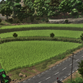 Hutan Pantai 360+ Spielstunden