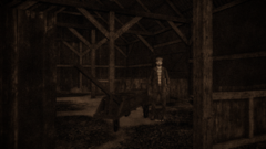 Fotos verschiedener Jahre