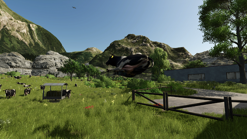 Die Kuh nimmt sich aber sehr Wichtig