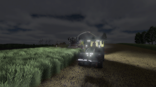 Die Raubkatze zu später Stunde am Knabbern :D