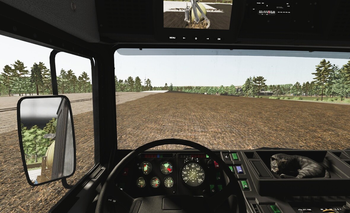 pssssssst! Katze pennt. ^^