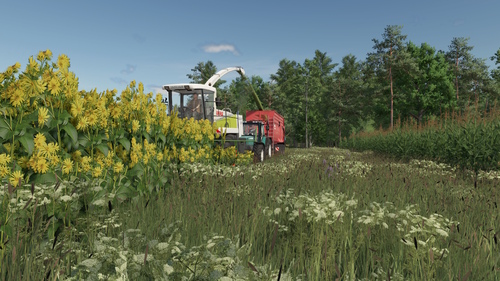 Silphie für Biogas häckseln