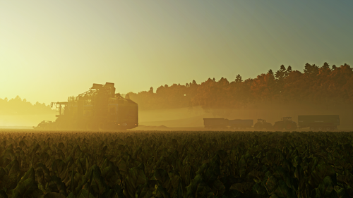 Erntesaison Ingamejahr 3 24.08.25