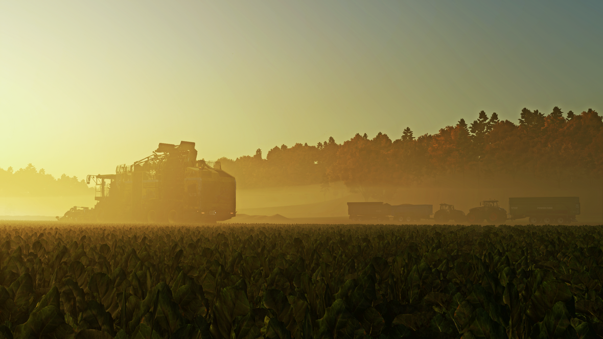 Erntesaison Ingamejahr 3 24.08.25
