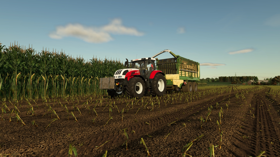 Mais mit Steyr und Krone