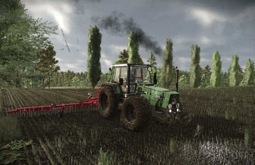 Der Gute alte Nasenbär