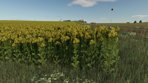 So, die Silphie hat jetzt auch ihre realistische Textur bekommen.