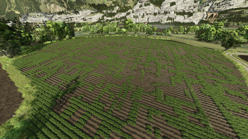 Interessantes Kunstwerk von benachbarten Bauern XD