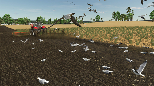 ist ja geil mit den Möwen  FS25_FieldGulls