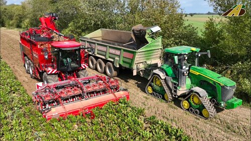 Rübenernte 2023 Ersteinsatz neuer HOLMER Terra Dos 5 Rübenvollernter - Traktor JD 8RX Landwirtschaft