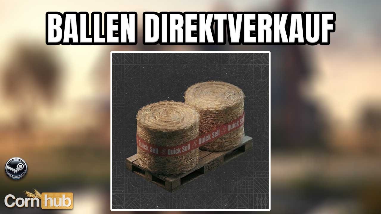 LS25 Ballen Direktverkauf – Ballen ohne Transport verkaufen