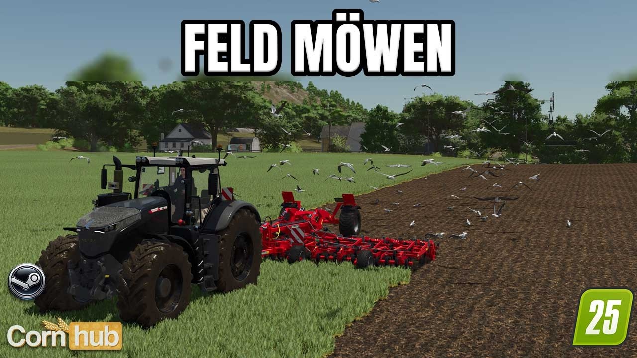 LS25 Feldmöwen – Mehr Leben auf deinen Feldern