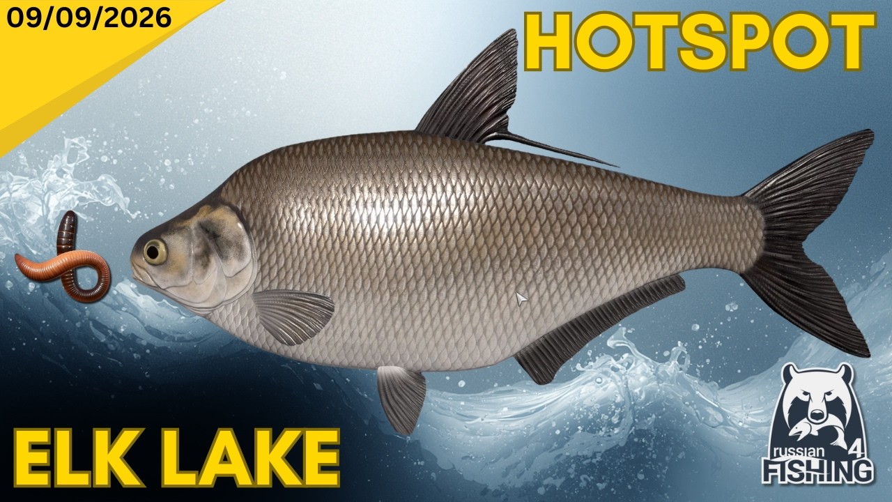 Insane Bite Rate - Russian fishing 4