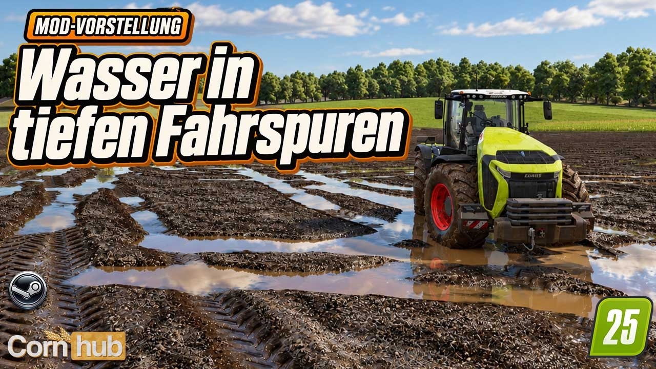 LS25 Wasser in tiefen Fahrspuren – Wasser sammelt sich in Spuren