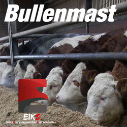 Bullenmast By Eiks Forbidden Mods Einfach Verboten Gut